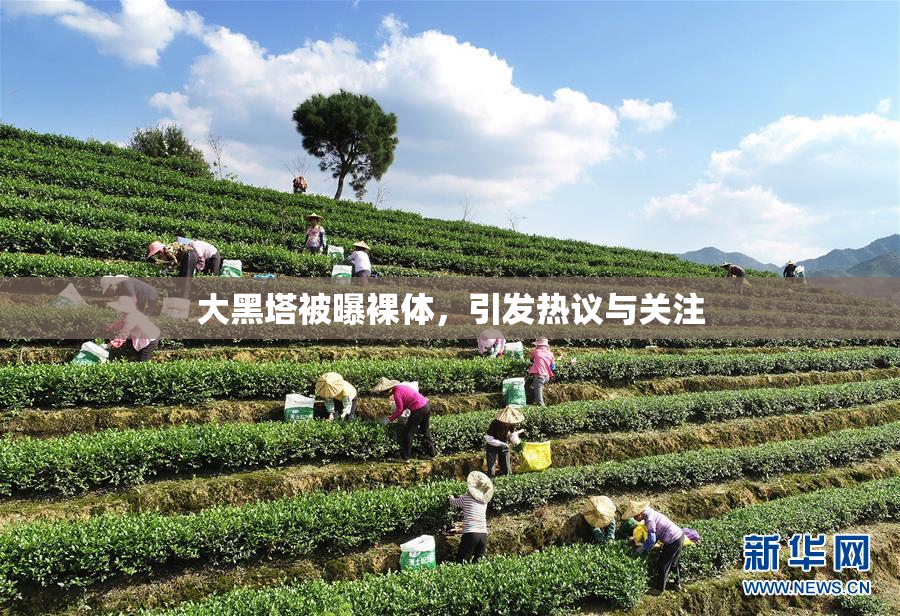 大黑塔被曝裸体，引发热议与关注