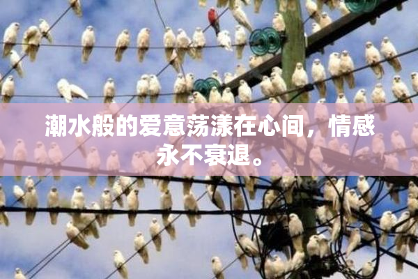 潮水般的爱意荡漾在心间，情感永不衰退。
