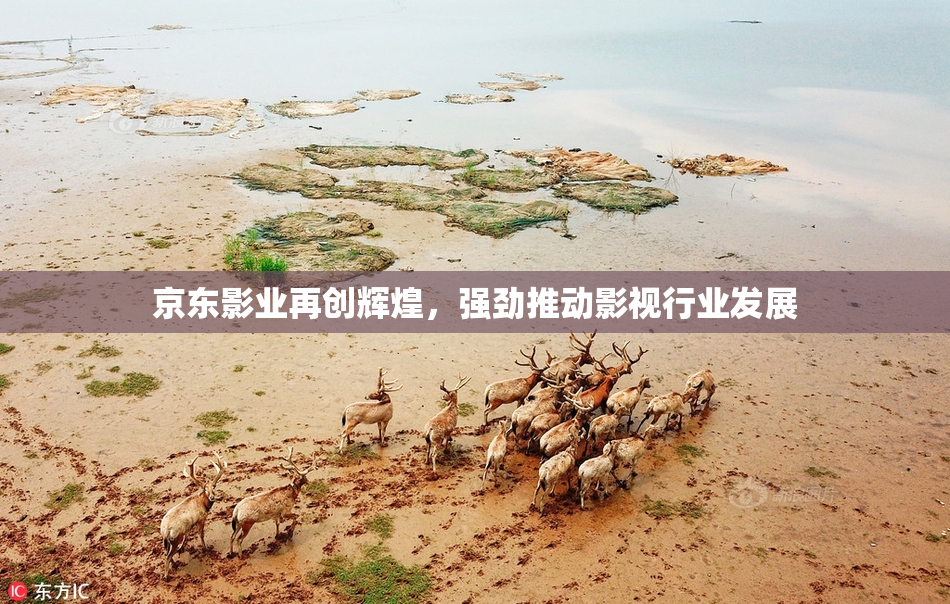 京东影业再创辉煌，强劲推动影视行业发展