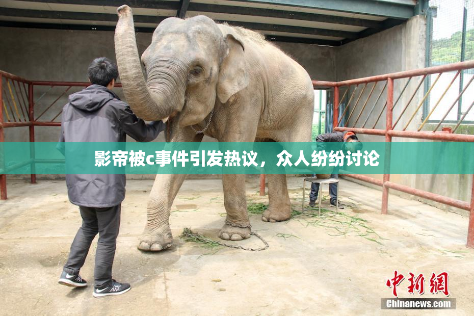 影帝被c事件引发热议，众人纷纷讨论