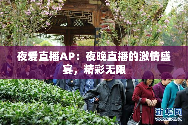 夜爱直播AP：夜晚直播的激情盛宴，精彩无限