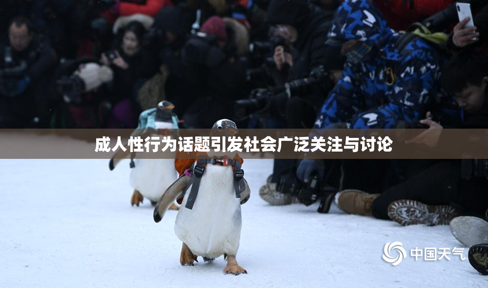 成人性行为话题引发社会广泛关注与讨论