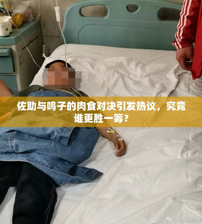 佐助与鸣子的肉食对决引发热议，究竟谁更胜一筹？