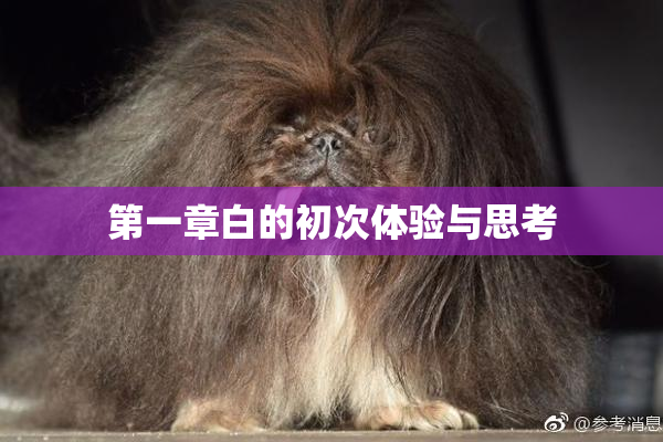 第一章白的初次体验与思考