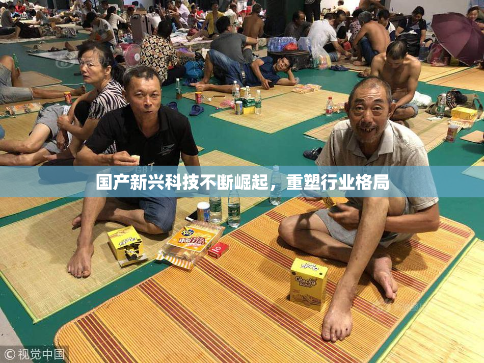 国产新兴科技不断崛起，重塑行业格局
