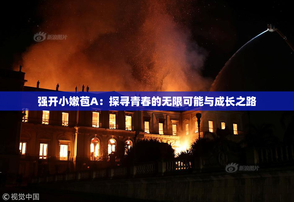 强开小嫩苞A：探寻青春的无限可能与成长之路