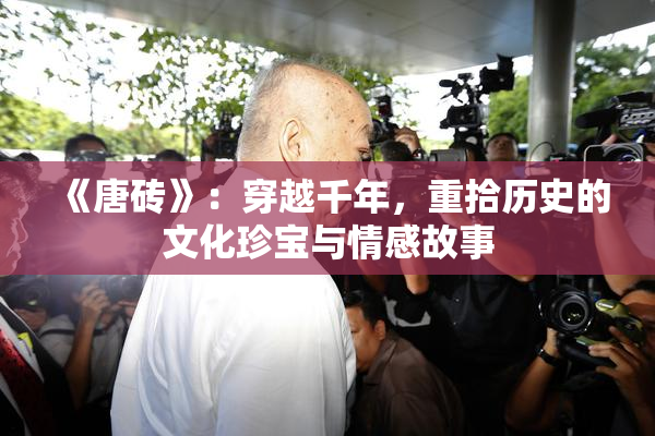 《唐砖》：穿越千年，重拾历史的文化珍宝与情感故事