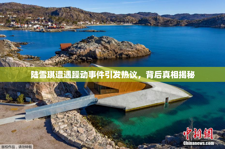 陆雪琪遭遇躁动事件引发热议，背后真相揭秘