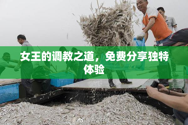 女王的调教之道，免费分享独特体验