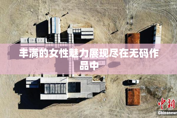 丰满的女性魅力展现尽在无码作品中