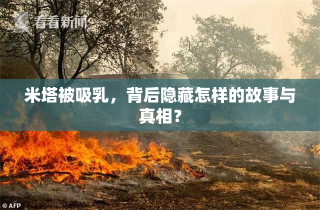 米塔被吸乳，背后隐藏怎样的故事与真相？