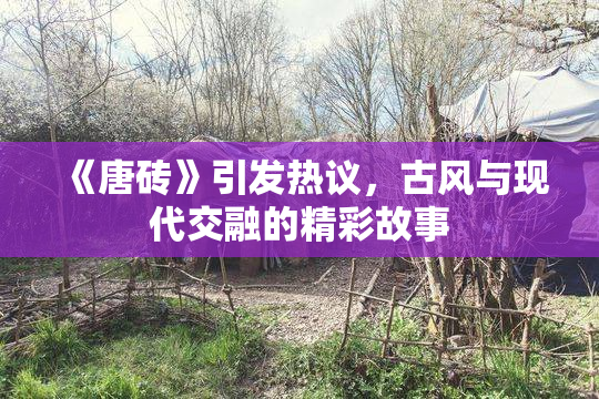 《唐砖》引发热议，古风与现代交融的精彩故事