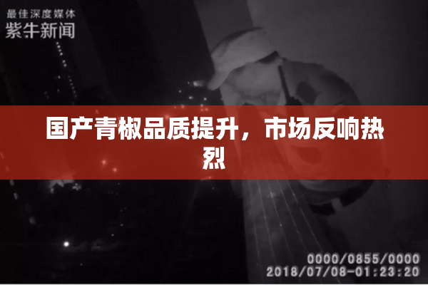 国产青椒品质提升，市场反响热烈