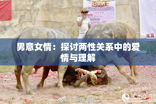 男意女情：探讨两性关系中的爱情与理解