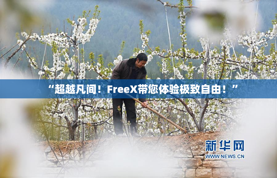 “超越凡间！FreeX带您体验极致自由！”