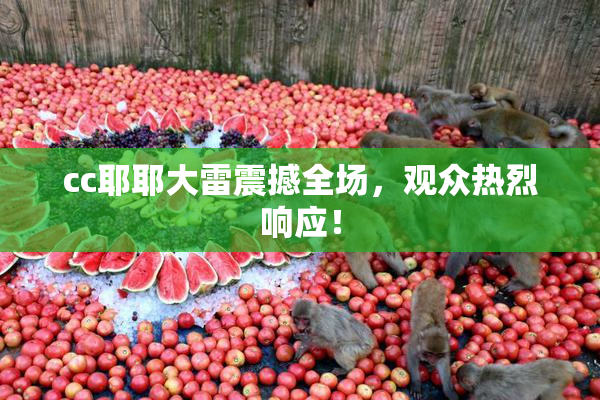 cc耶耶大雷震撼全场，观众热烈响应！