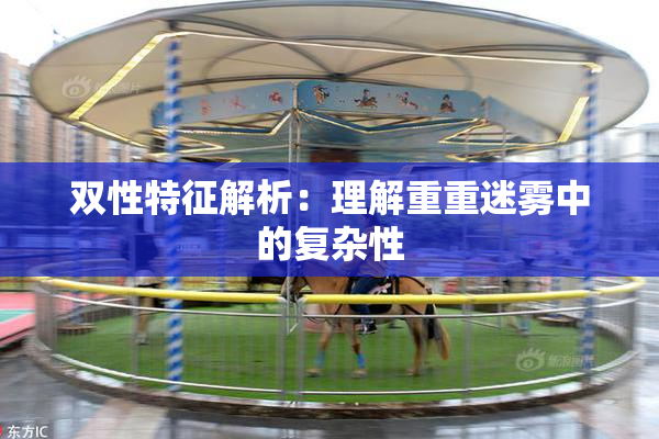 双性特征解析：理解重重迷雾中的复杂性