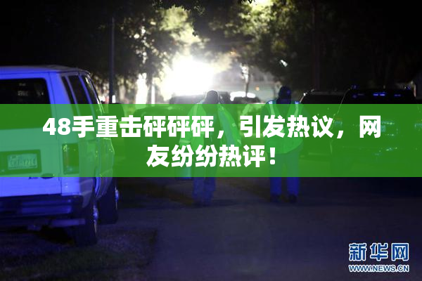 48手重击砰砰砰，引发热议，网友纷纷热评！