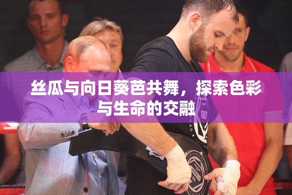 丝瓜与向日葵芭共舞，探索色彩与生命的交融