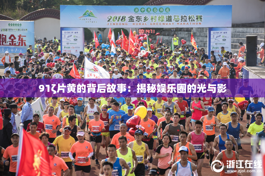 91ζ片黄的背后故事：揭秘娱乐圈的光与影