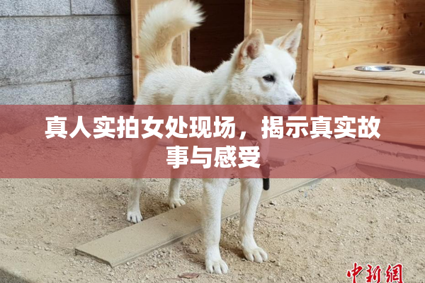 真人实拍女处现场，揭示真实故事与感受