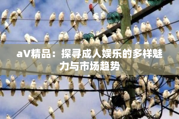 aV精品：探寻成人娱乐的多样魅力与市场趋势