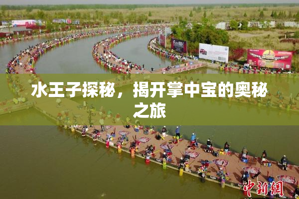 水王子探秘，揭开掌中宝的奥秘之旅