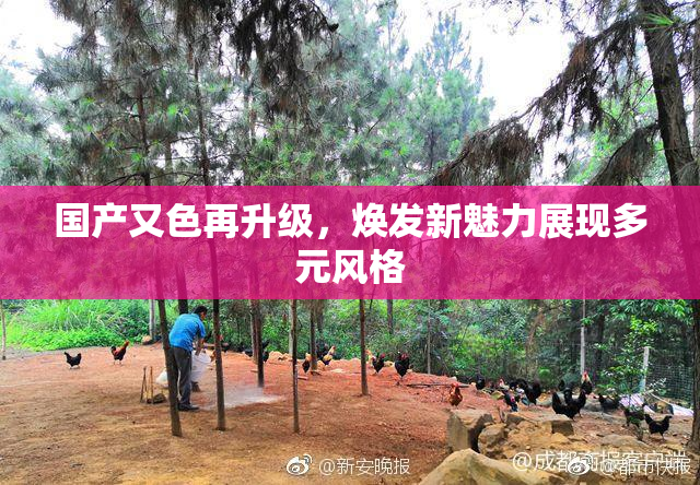 国产又色再升级，焕发新魅力展现多元风格