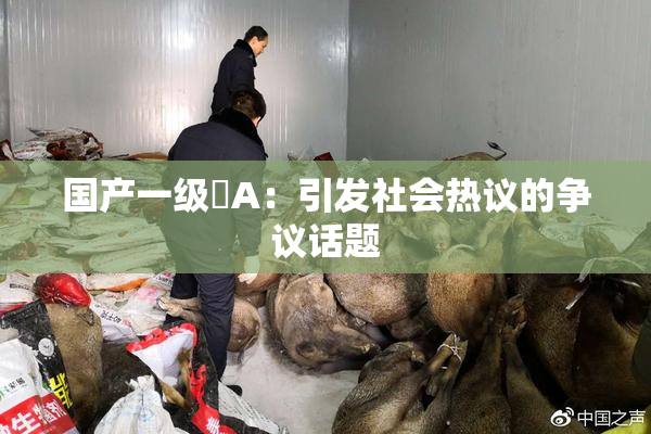 国产一级婬A：引发社会热议的争议话题