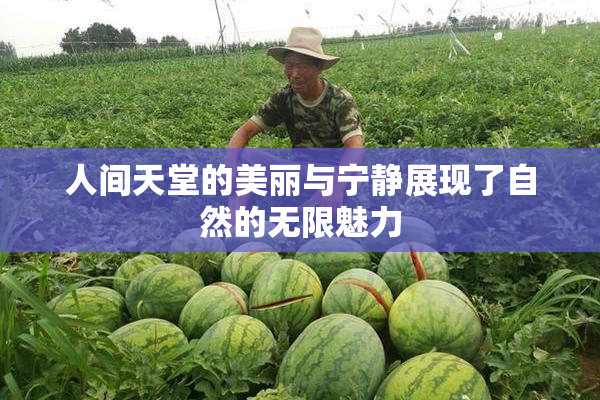 人间天堂的美丽与宁静展现了自然的无限魅力