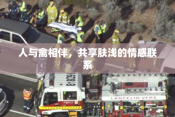 人与禽相伴，共享肤浅的情感联系