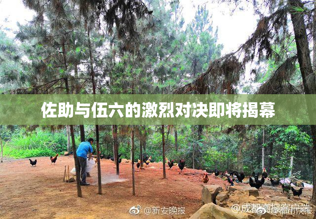佐助与伍六的激烈对决即将揭幕