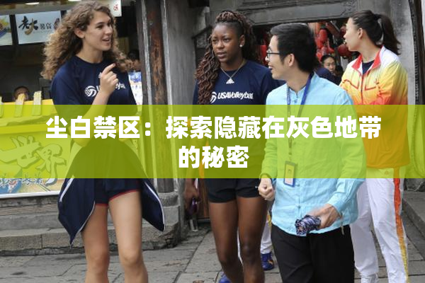 尘白禁区：探索隐藏在灰色地带的秘密