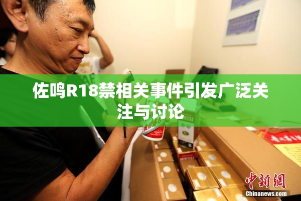 佐鸣R18禁相关事件引发广泛关注与讨论