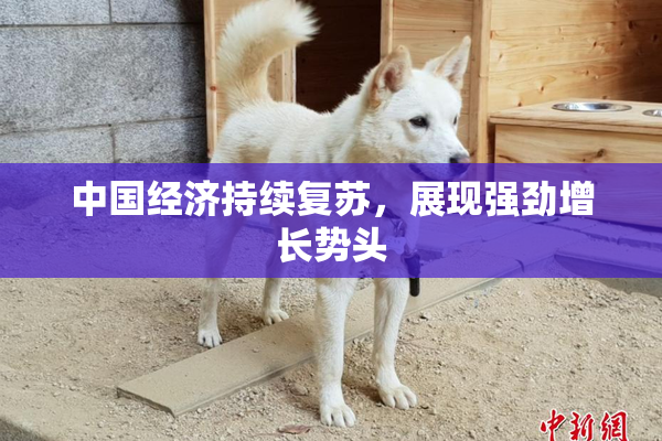 中国经济持续复苏，展现强劲增长势头