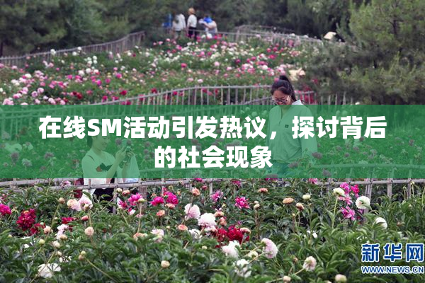 在线SM活动引发热议，探讨背后的社会现象