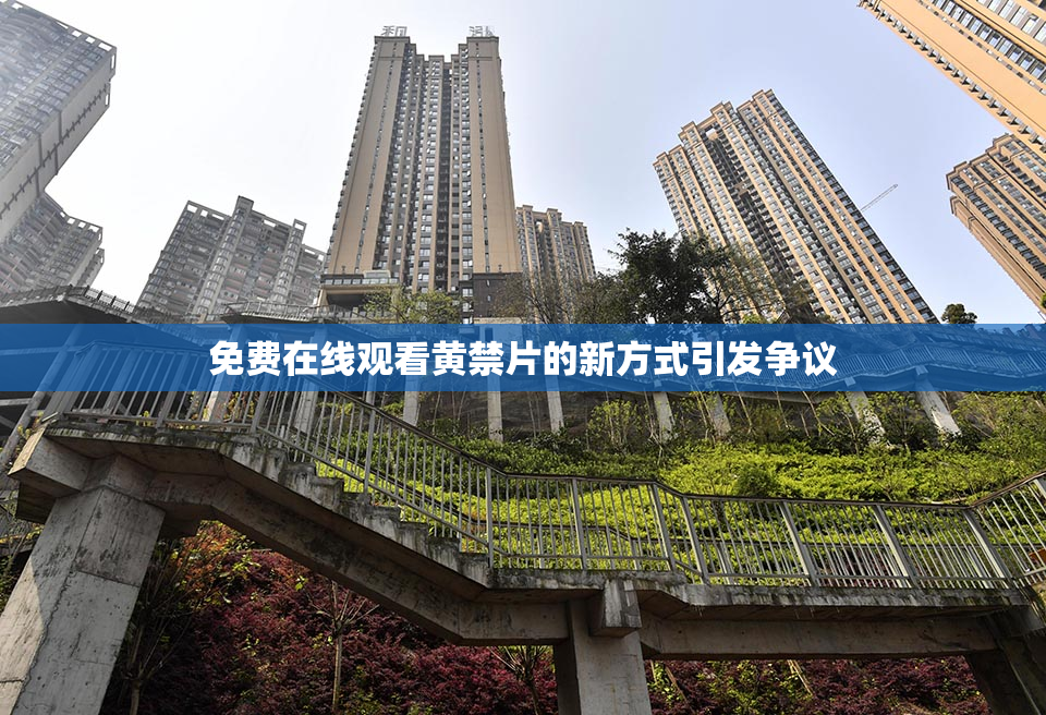 免费在线观看黄禁片的新方式引发争议