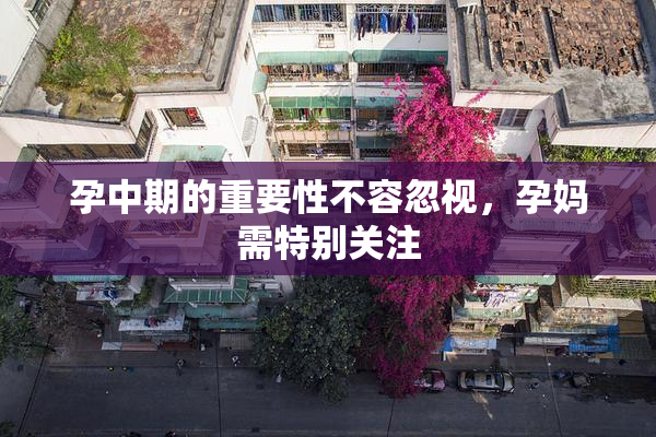 孕中期的重要性不容忽视，孕妈需特别关注