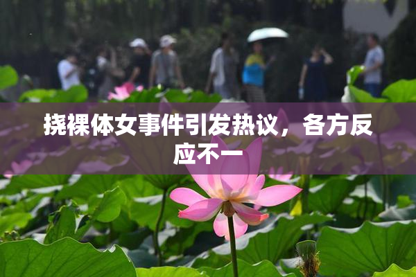 挠裸体女事件引发热议，各方反应不一