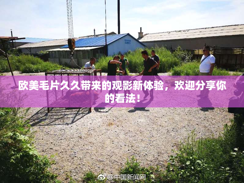 欧美毛片久久带来的观影新体验，欢迎分享你的看法！