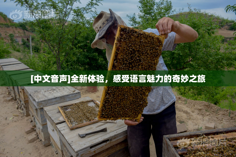 [中文音声]全新体验，感受语言魅力的奇妙之旅