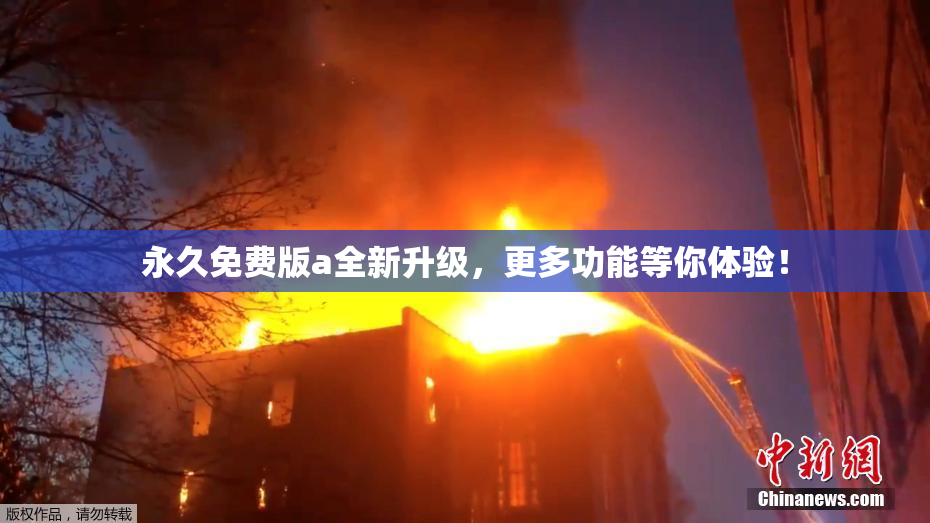 永久免费版a全新升级，更多功能等你体验！
