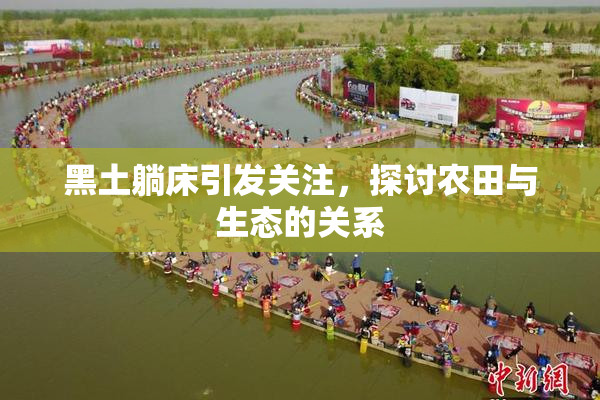 黑土躺床引发关注，探讨农田与生态的关系