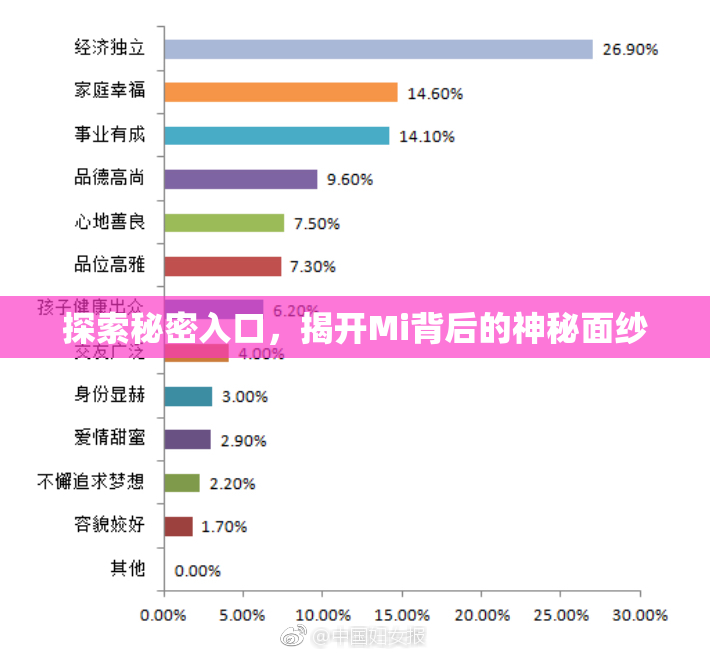 探索秘密入口，揭开Mi背后的神秘面纱