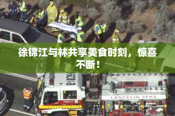徐锦江与林共享美食时刻，惊喜不断！