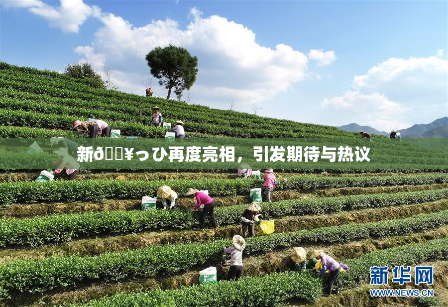 新🔥っひ再度亮相，引发期待与热议