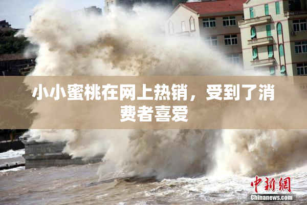 小小蜜桃在网上热销，受到了消费者喜爱