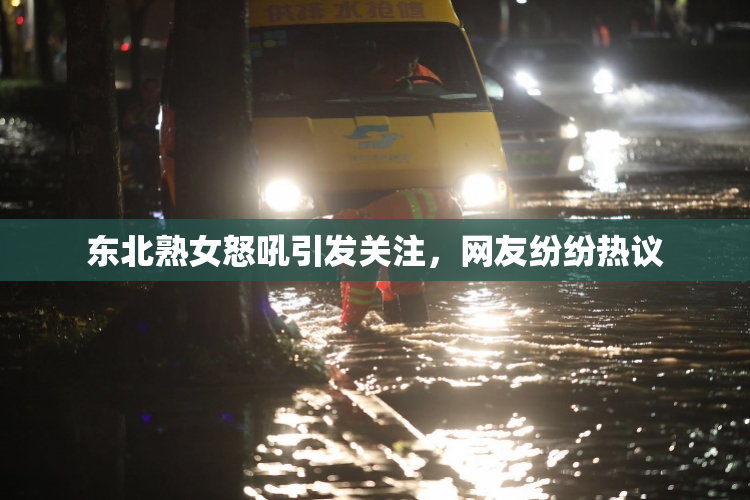 东北熟女怒吼引发关注，网友纷纷热议