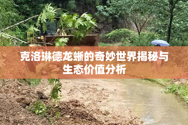 克洛琳德龙蜥的奇妙世界揭秘与生态价值分析