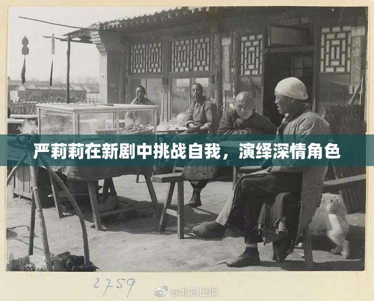 严莉莉在新剧中挑战自我，演绎深情角色